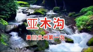 明确各方义务、加强安全管控,扬州市立法保障人民群众乘梯安全