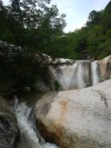 逃离野鸡森林